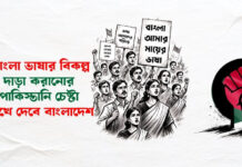 বাংলা ভাষার বিকল্প দাড়া করানোর পাকিস্তানি চেষ্টা রুখে দেবে বাংলাদেশ