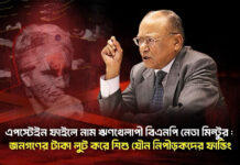 এপস্টেইন ফাইলে নাম ঋণখেলাপী বিএনপি নেতা মিন্টুর
