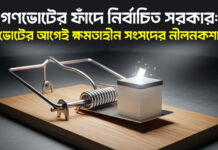 গণভোটের ফাঁদে নির্বাচিত সরকার: ভোটের আগেই ক্ষমতাহীন সংসদের নীলনকশা