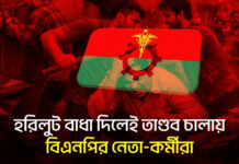 হরিলুট বাধা দিলেই তাণ্ডব চালায় বিএনপির নেতা-কর্মীরা