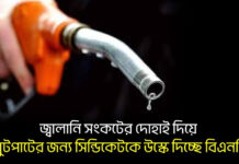 জ্বালানি সংকটের দোহাই দিয়ে লুটপাটের জন্য সিন্ডিকেটকে উস্কে দিচ্ছে বিএনপি