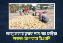 আলু ফলায় কৃষক, দাম পায় ফড়িয়া, ক্ষমতা ভোগ করে বিএনপি