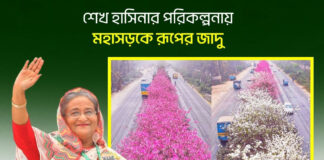 শেখ হাসিনার পরিকল্পনায় মহাসড়কে রূপের জাদু