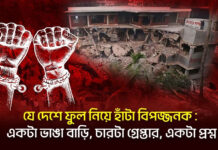 যে দেশে ফুল নিয়ে হাঁটা বিপজ্জনক : একটা ভাঙা বাড়ি, চারটা গ্রেপ্তার, একটা প্রশ্ন