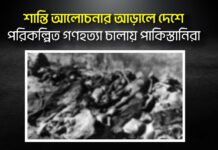 শান্তি আলোচনার আড়ালে দেশে পরিকল্পিত গণহত্যা চালায় পাকিস্তানিরা