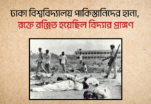ঢাকা বিশ্ববিদ্যালয় পাকিস্তানিদের হানা, রক্তে রঞ্জিত হয়েছিল বিদ্যার প্রাঙ্গণ