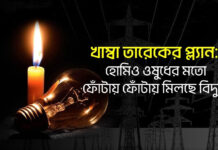খাম্বা তারেকের প্ল্যান: হোমিও ওষুধের মতো ফোঁটায় ফোঁটায় মিলছে বিদ্যুৎ