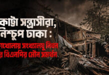 একাট্টা সন্ত্রাসীরা, নিশ্চুপ ঢাকা: শরণখোলায় সংখ্যালঘু নিধন আর বিএনপির মৌন সমর্থন
