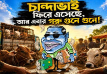 চান্দাভাই ফিরে এসেছে, আর এবার গরু গুনে গুনে!