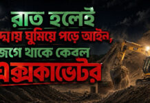 রাত হলেই পদ্মায় ঘুমিয়ে পড়ে আইন, জেগে থাকে কেবল এক্সকাভেটর