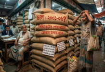 ২০০১-০৬ কি ফিরে এলো চালের বস্তায়: সিন্ডিকেটের পোয়াবারো, ক্রেতার মাথায় হাত