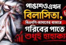 পাঙাশও এখন বিলাসিতা, বিএনপি-জামাতের বাজারে গরিবের পাতে শুধুই হাহাকার