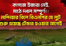 টেন্ডার হওয়ার আগেই নান্দিয়ার বিলে শুরু হয়েছে বিএনপির লুট
