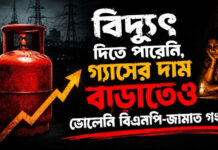 বিদ্যুৎ দিতে পারেনি, গ্যাসের দাম বাড়াতেও ভোলেনি বিএনপি-জামাত গং!