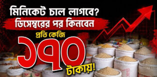 মিনিকেট চাল লাগবে? ডিসেম্বরের পর কিনবেন প্রতি কেজি ১৭০ টাকায়!
