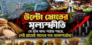 উল্টো স্রোতের মূল্যস্ফীতি: যে গ্রাম খাদ্য পাঠায় শহরে, সেই গ্রামেই খাদ্যের দাম আকাশছোঁয়া!