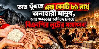 ভাত খুঁজছে এক কোটি ৮১ লাখ অনাহারী মানুষ, আর ক্ষমতার অলিন্দে চলছে বিএনপির লুটের মহোৎসব!