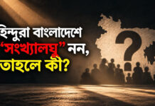 হিন্দুরা বাংলাদেশে “সংখ্যালঘু” নন, তাহলে কী?